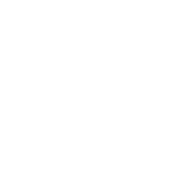 VIP RIDE