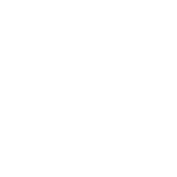 VIP RIDE